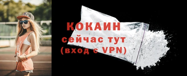 кокс Алексин