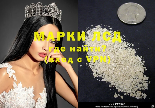 крисы Магадан