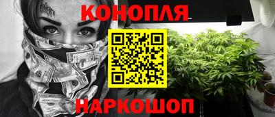 ешки Камышлов