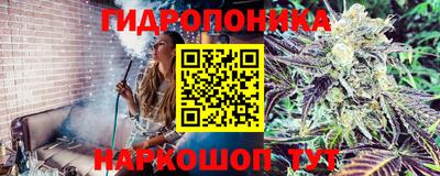 а пвп мука Кандалакша