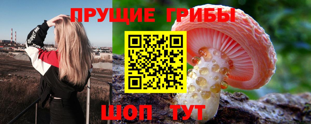 Норильск  как найти   Вход с VPN  Галлюциногенные грибы Magic Shrooms  Галлюциногенные грибы Magic Shrooms 